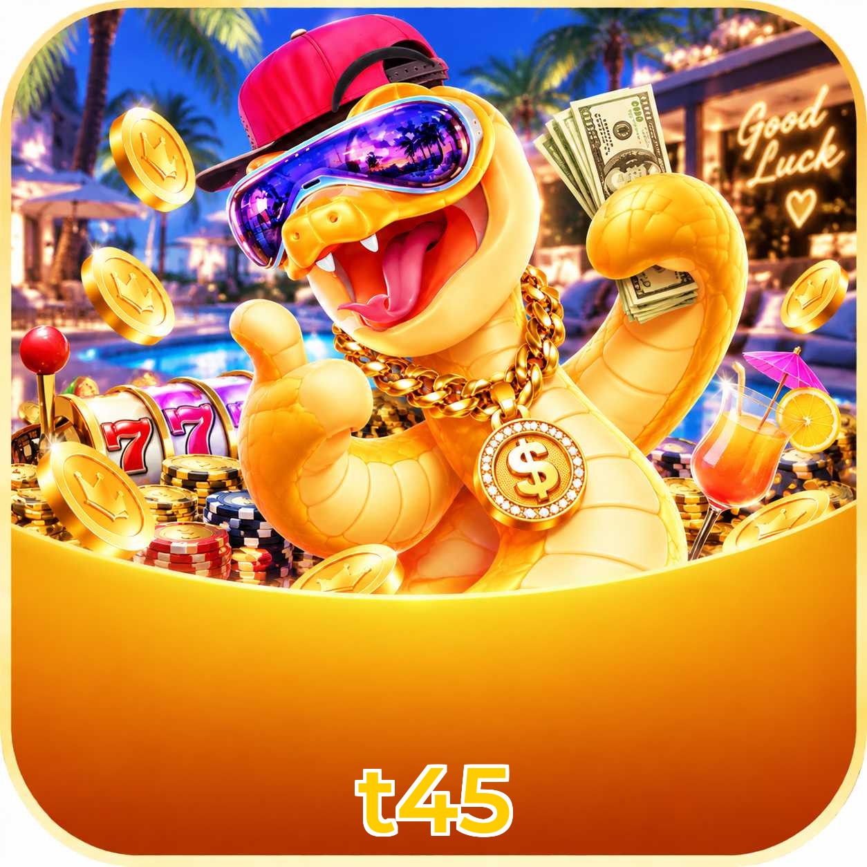 t45 App Features