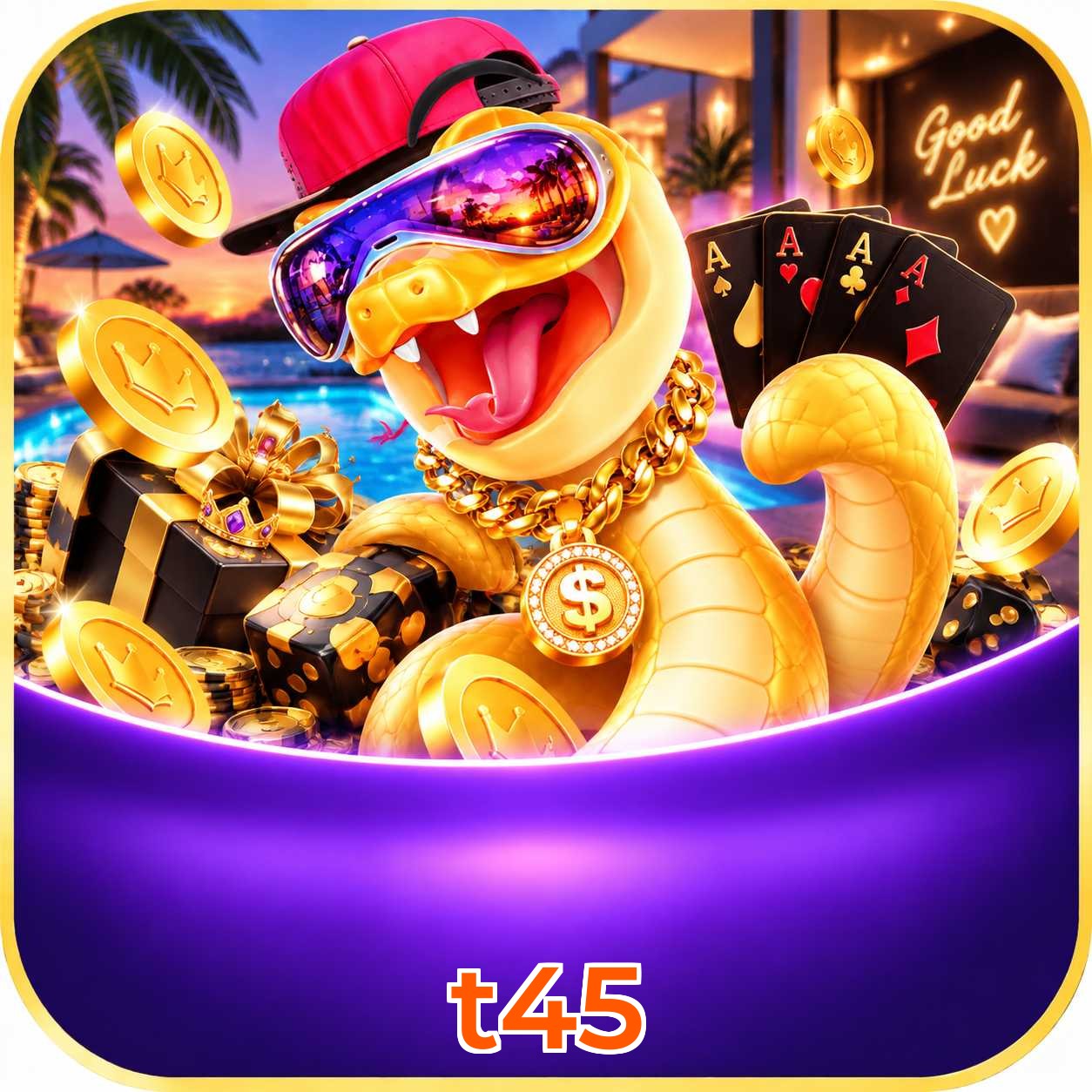 t45 Erros de Login